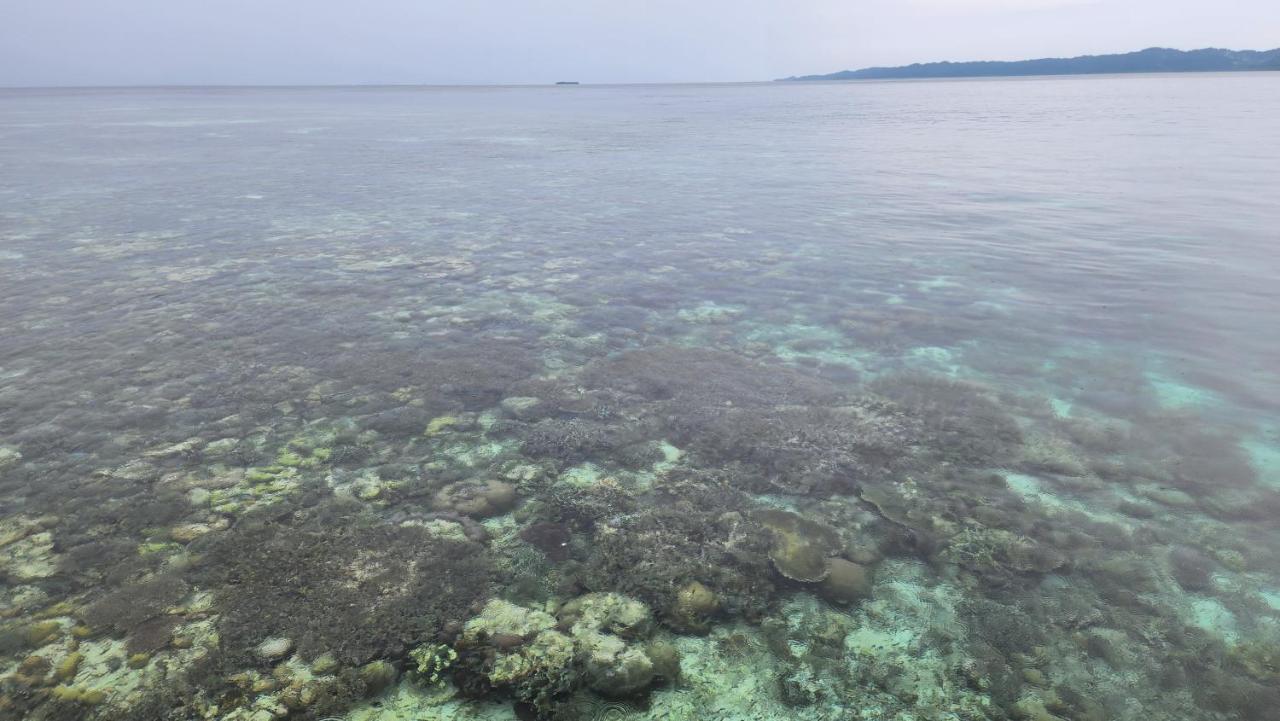 Terimakasih Homestay Pulau Mansuar Dış mekan fotoğraf