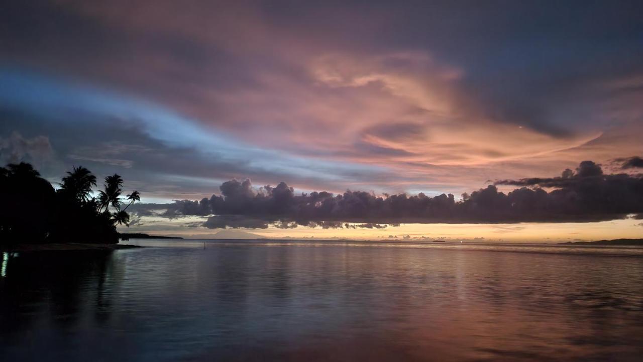 Terimakasih Homestay Pulau Mansuar Dış mekan fotoğraf