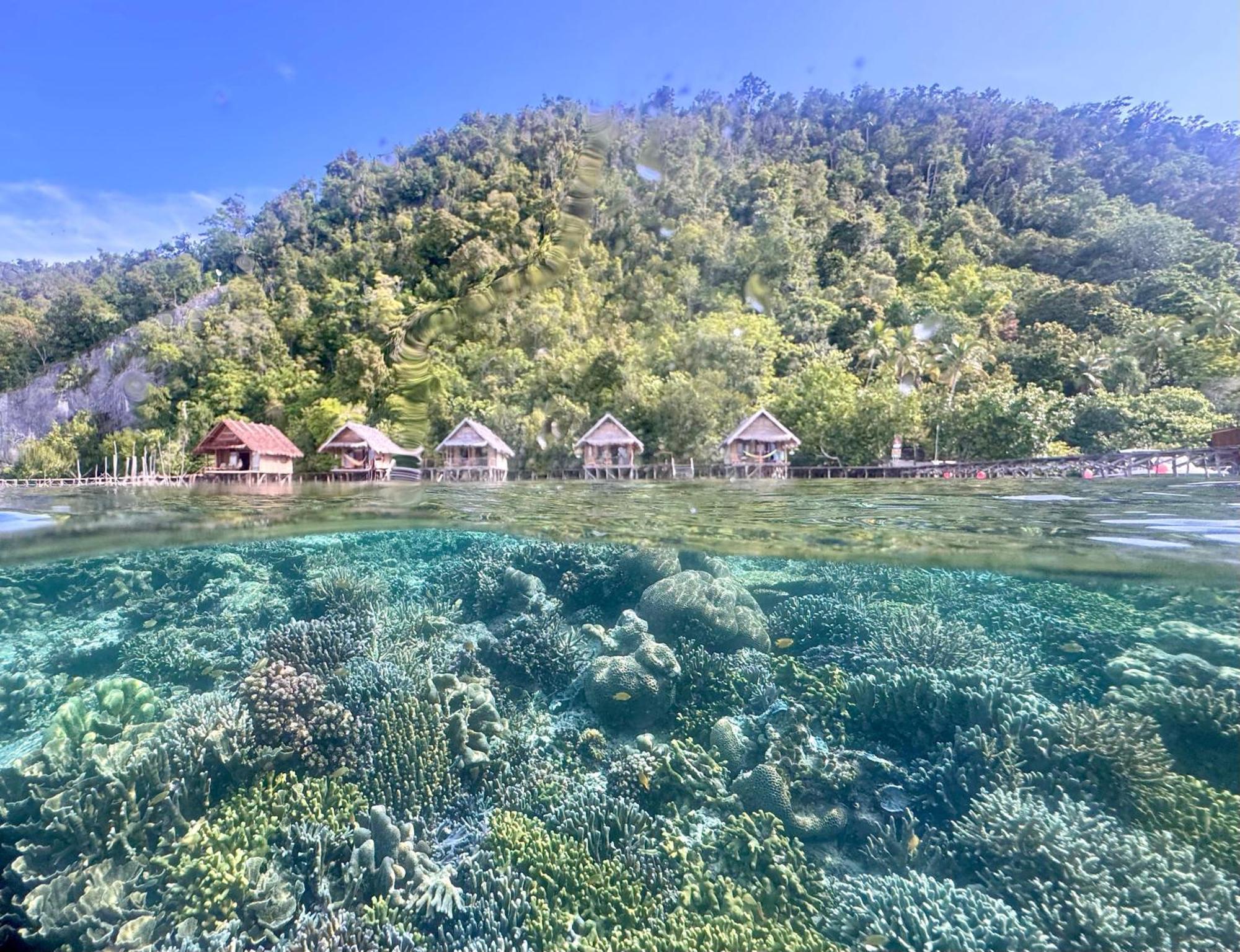 Terimakasih Homestay Pulau Mansuar Dış mekan fotoğraf